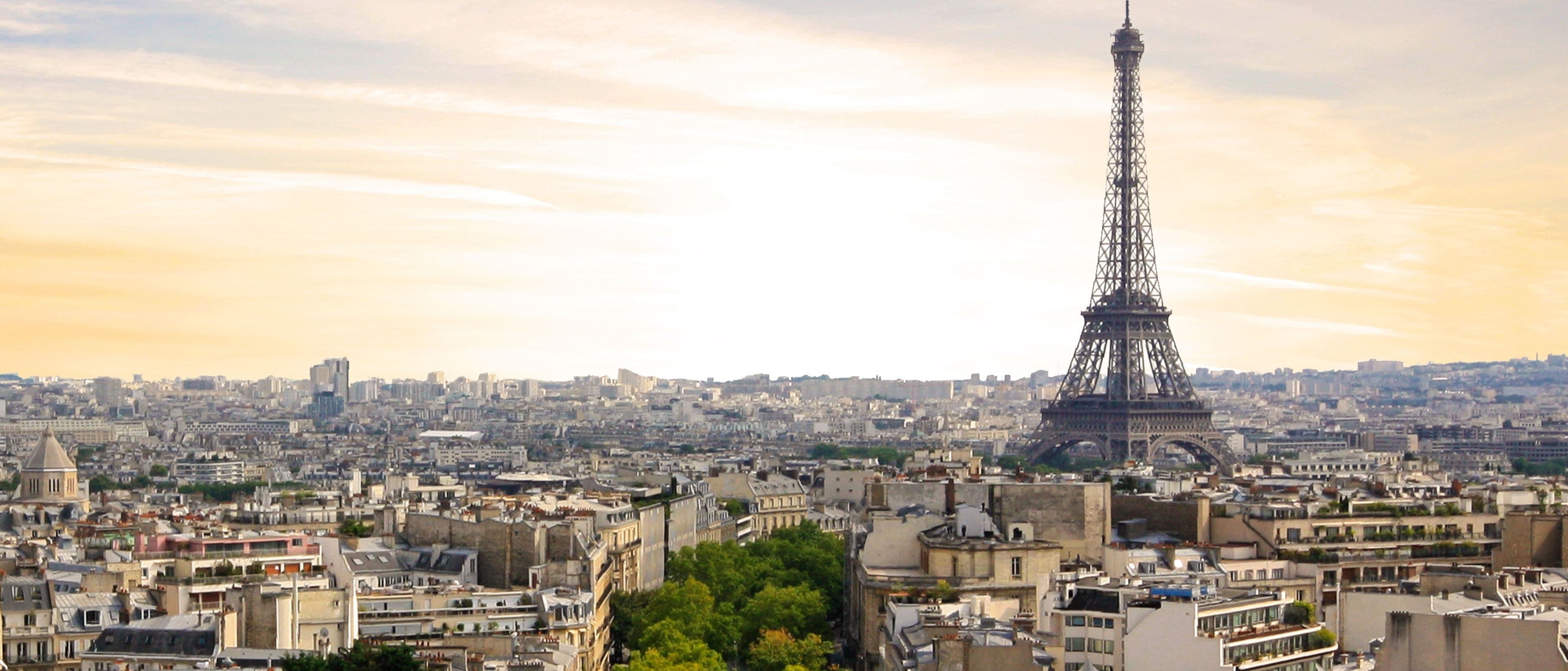 Image for 2D Animation / Stop Motion Degree